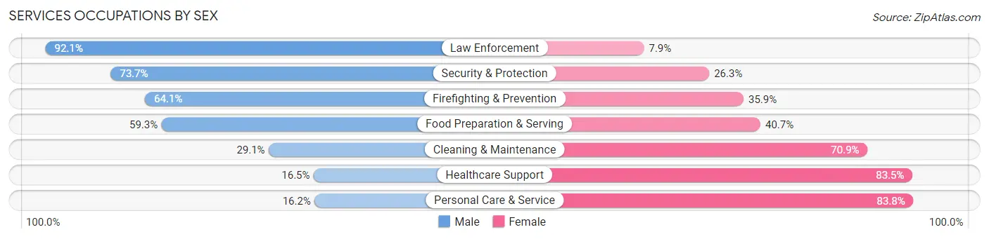 Services Occupations by Sex in Zip Code 46312