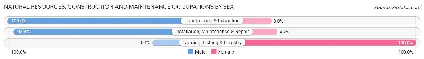 Natural Resources, Construction and Maintenance Occupations by Sex in Zip Code 46320