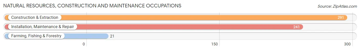 Natural Resources, Construction and Maintenance Occupations in Zip Code 46320