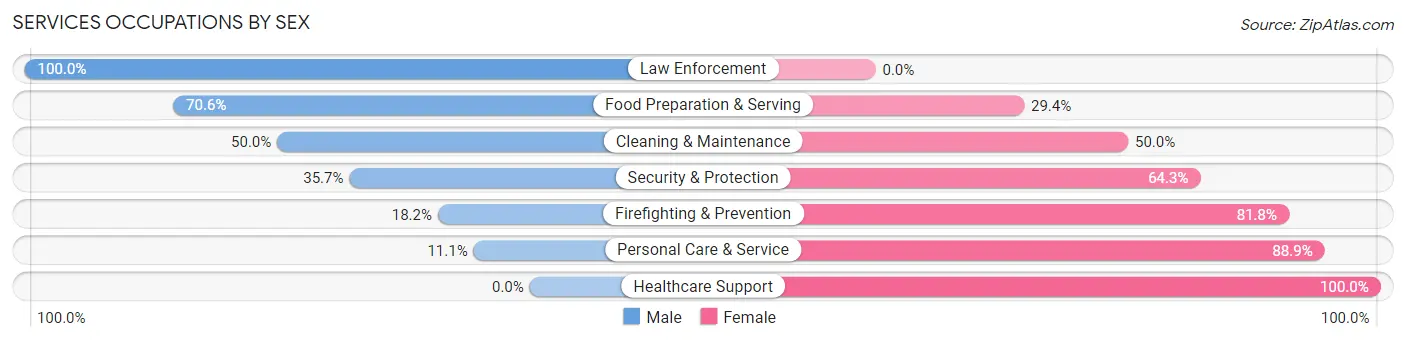 Services Occupations by Sex in Zip Code 46348