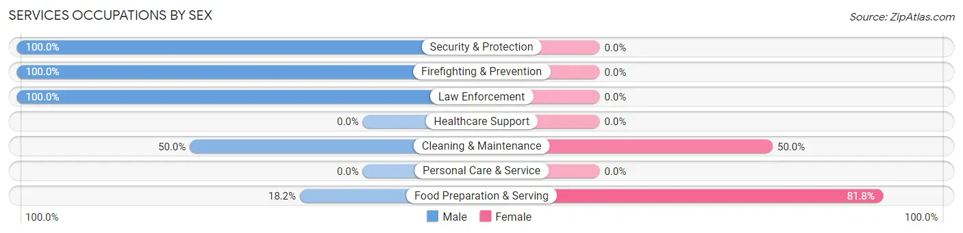 Services Occupations by Sex in Zip Code 46376
