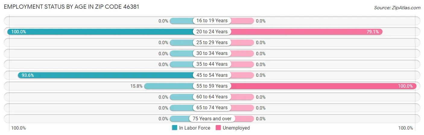 Employment Status by Age in Zip Code 46381