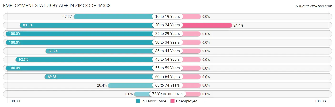 Employment Status by Age in Zip Code 46382
