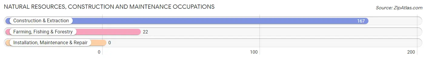 Natural Resources, Construction and Maintenance Occupations in Zip Code 46382