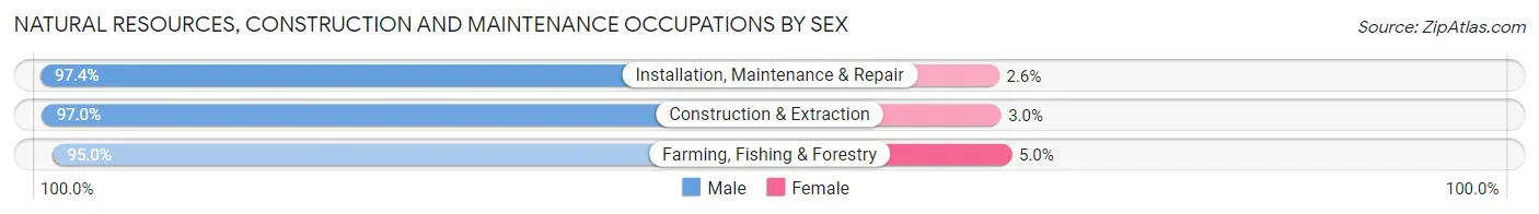 Natural Resources, Construction and Maintenance Occupations by Sex in Zip Code 46383