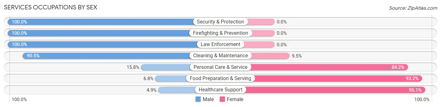 Services Occupations by Sex in Zip Code 46390