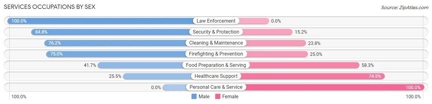Services Occupations by Sex in Zip Code 46403