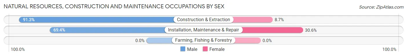Natural Resources, Construction and Maintenance Occupations by Sex in Zip Code 46406