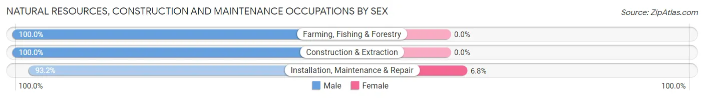 Natural Resources, Construction and Maintenance Occupations by Sex in Zip Code 46409