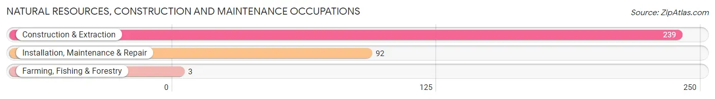 Natural Resources, Construction and Maintenance Occupations in Zip Code 46506