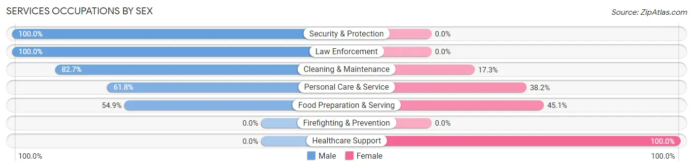 Services Occupations by Sex in Zip Code 46506