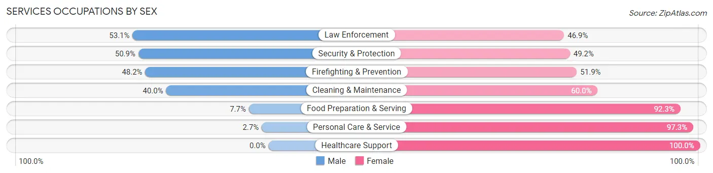 Services Occupations by Sex in Zip Code 46507