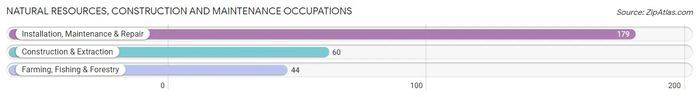 Natural Resources, Construction and Maintenance Occupations in Zip Code 46510