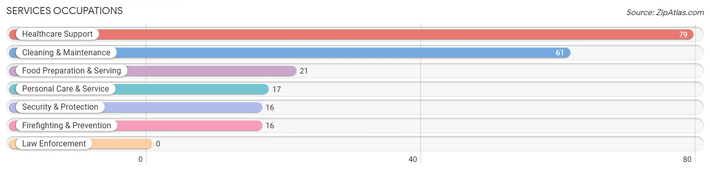 Services Occupations in Zip Code 46510