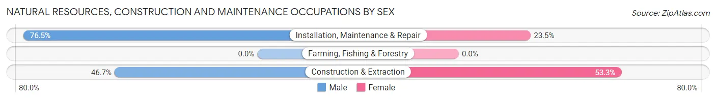 Natural Resources, Construction and Maintenance Occupations by Sex in Zip Code 46524