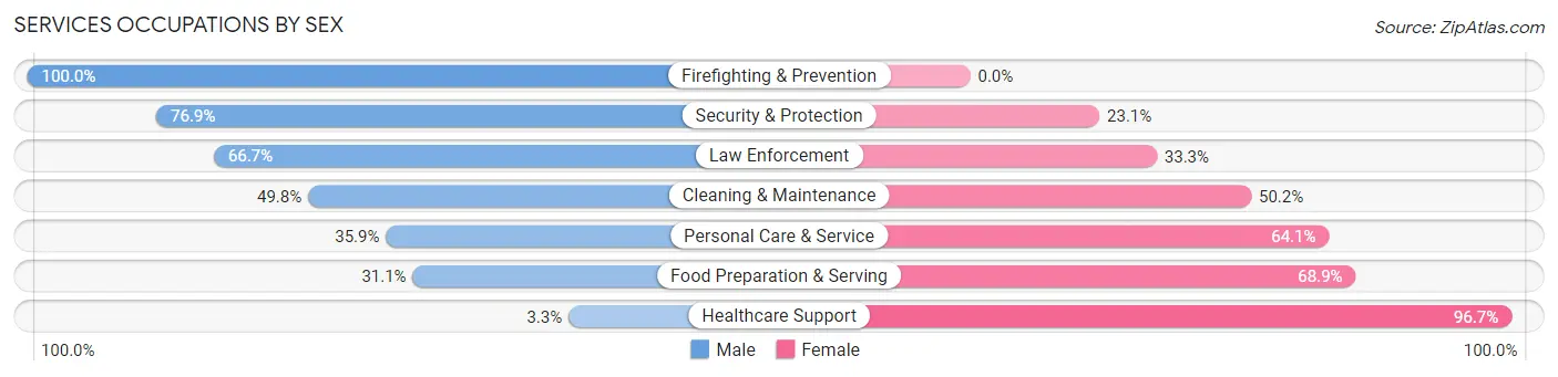 Services Occupations by Sex in Zip Code 46528