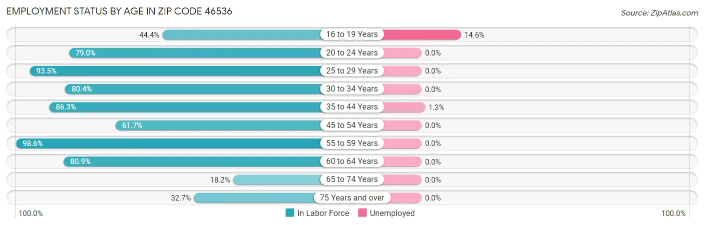 Employment Status by Age in Zip Code 46536