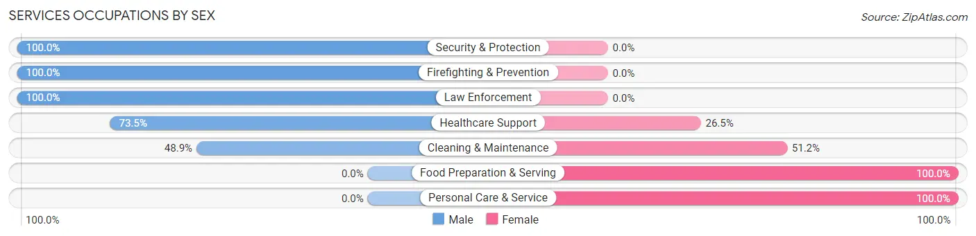 Services Occupations by Sex in Zip Code 46538