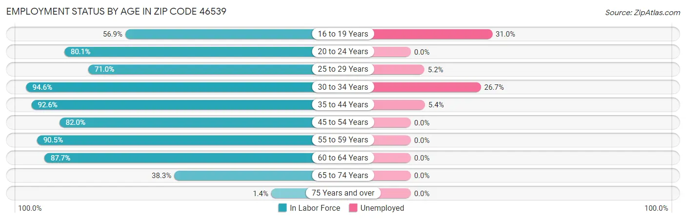 Employment Status by Age in Zip Code 46539