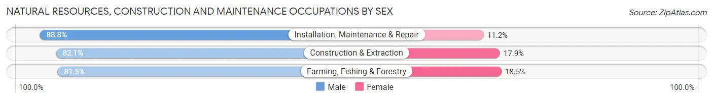 Natural Resources, Construction and Maintenance Occupations by Sex in Zip Code 46545
