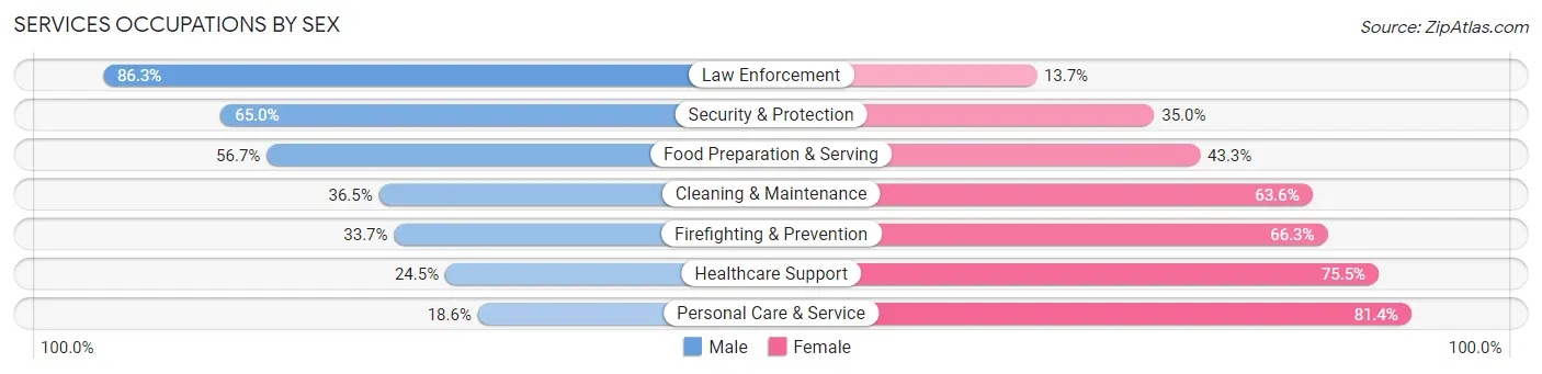Services Occupations by Sex in Zip Code 46545