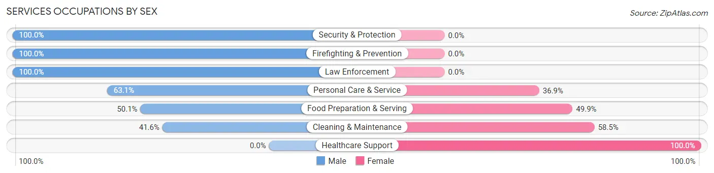 Services Occupations by Sex in Zip Code 46550