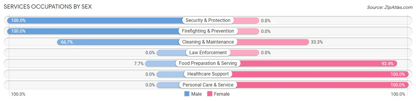 Services Occupations by Sex in Zip Code 46553