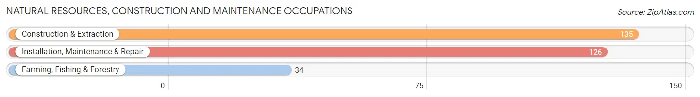 Natural Resources, Construction and Maintenance Occupations in Zip Code 46562