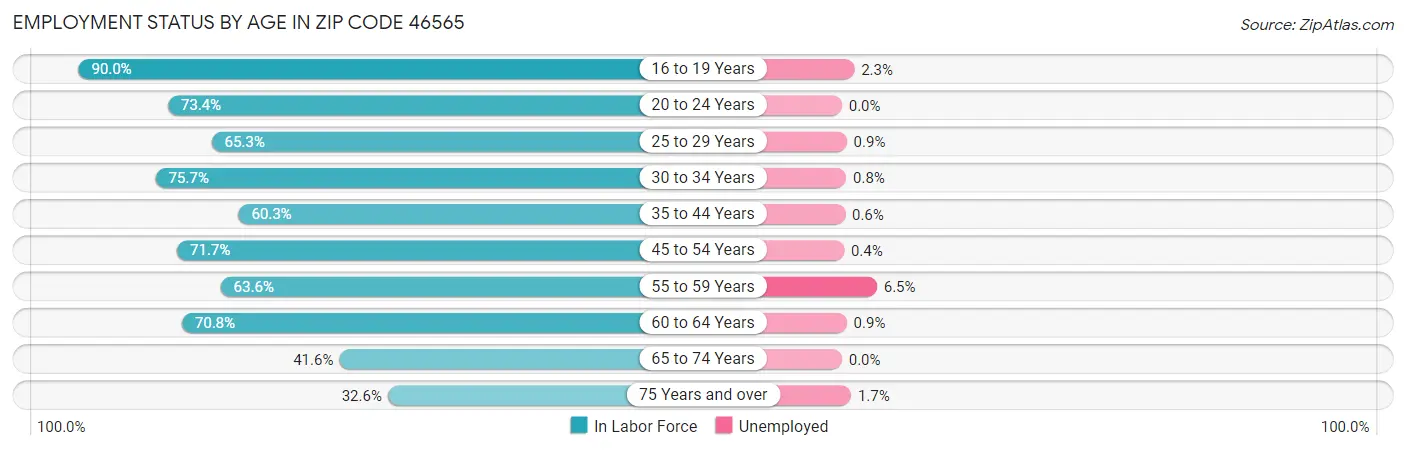Employment Status by Age in Zip Code 46565