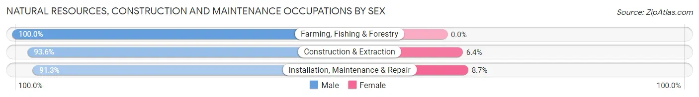 Natural Resources, Construction and Maintenance Occupations by Sex in Zip Code 46567