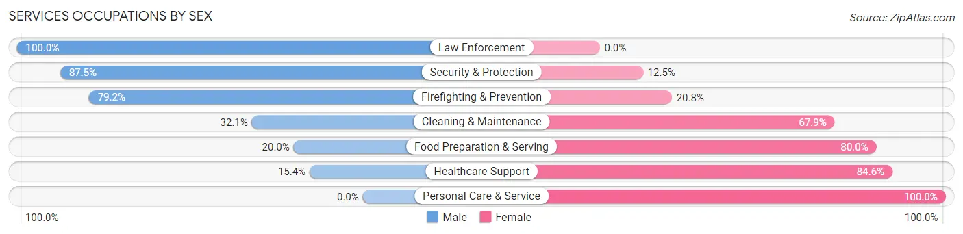Services Occupations by Sex in Zip Code 46573