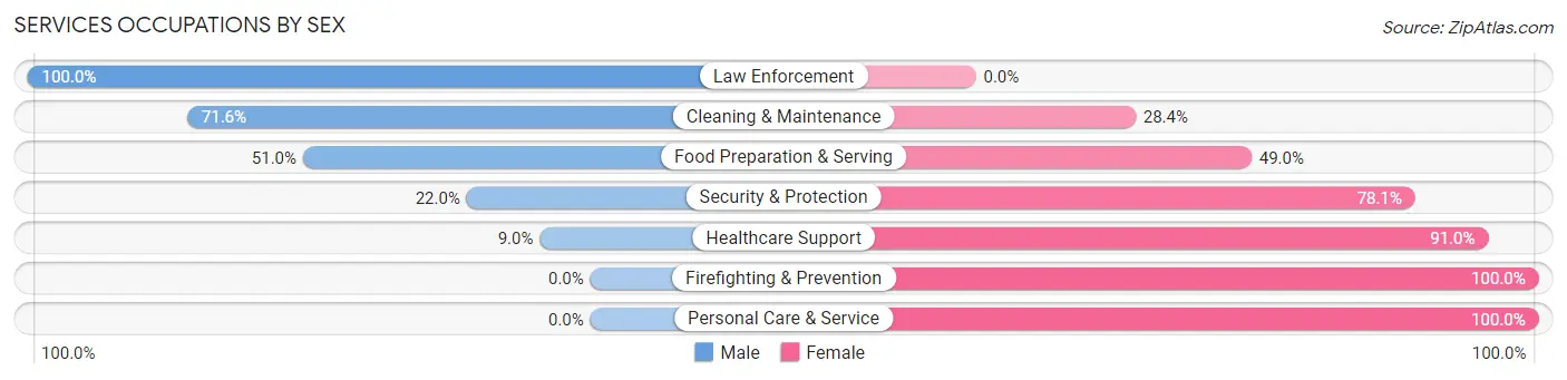 Services Occupations by Sex in Zip Code 46582