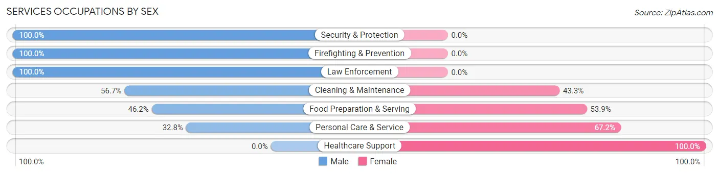 Services Occupations by Sex in Zip Code 46635