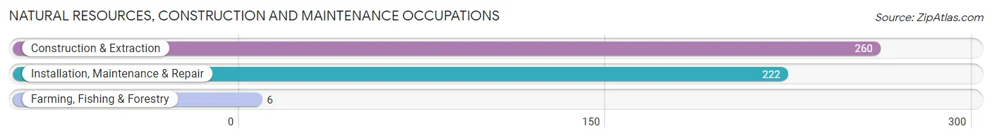 Natural Resources, Construction and Maintenance Occupations in Zip Code 46637