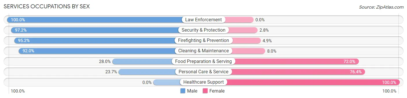 Services Occupations by Sex in Zip Code 46637