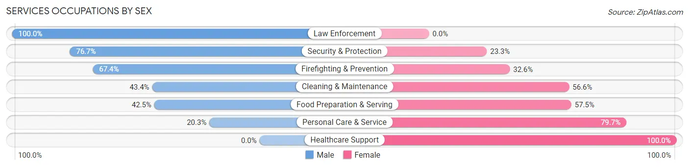 Services Occupations by Sex in Zip Code 46703