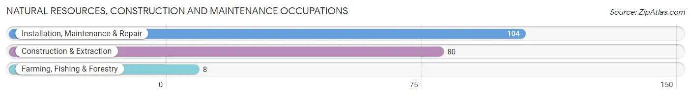 Natural Resources, Construction and Maintenance Occupations in Zip Code 46721