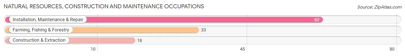 Natural Resources, Construction and Maintenance Occupations in Zip Code 46732