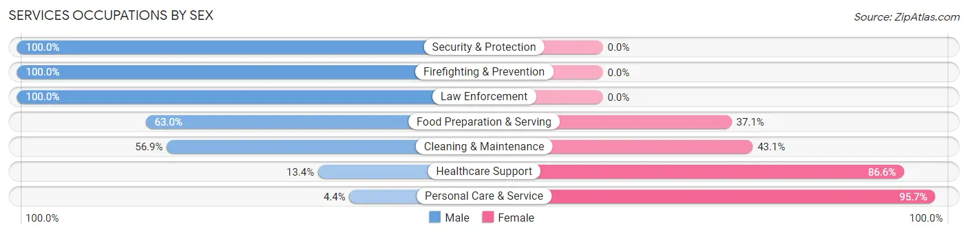 Services Occupations by Sex in Zip Code 46733