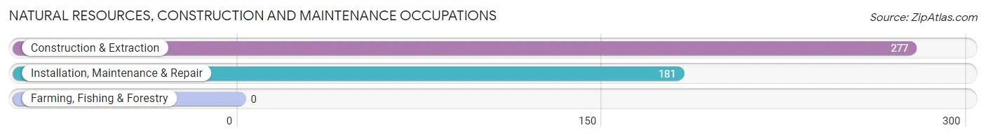 Natural Resources, Construction and Maintenance Occupations in Zip Code 46755