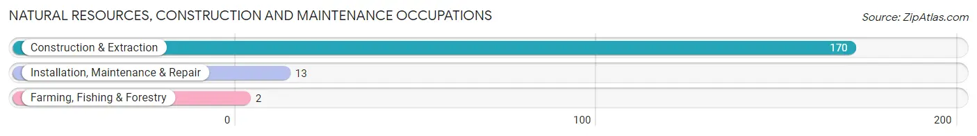 Natural Resources, Construction and Maintenance Occupations in Zip Code 46772