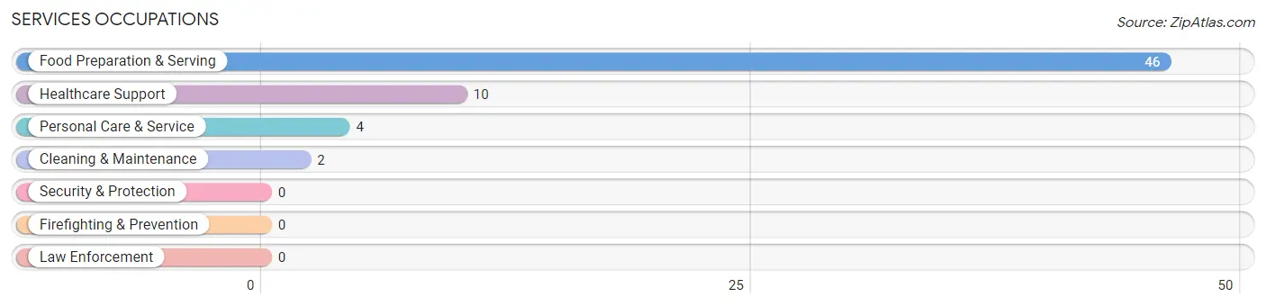 Services Occupations in Zip Code 46785