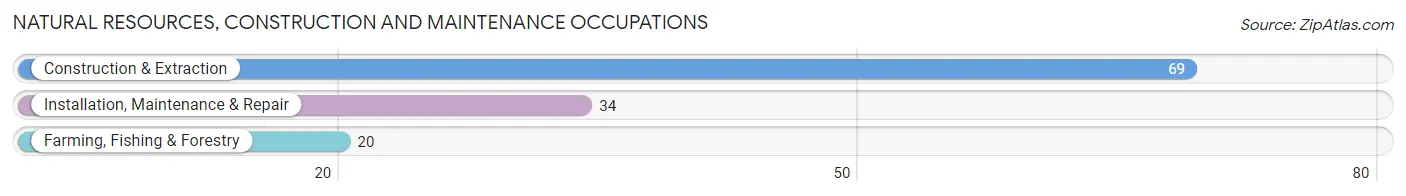 Natural Resources, Construction and Maintenance Occupations in Zip Code 46792