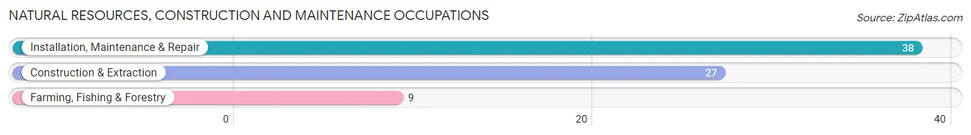 Natural Resources, Construction and Maintenance Occupations in Zip Code 46794