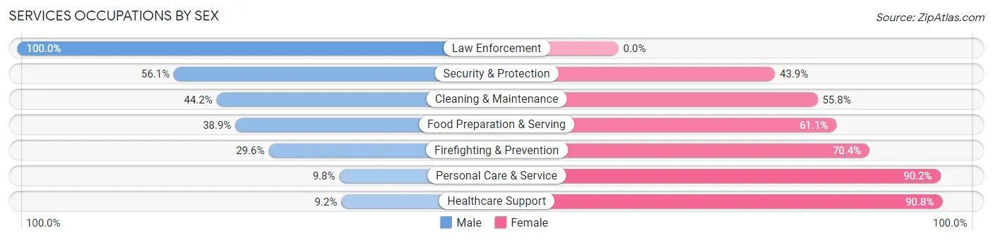 Services Occupations by Sex in Zip Code 46806
