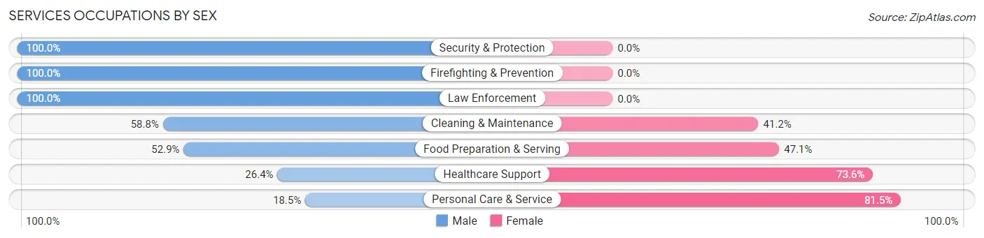 Services Occupations by Sex in Zip Code 46807
