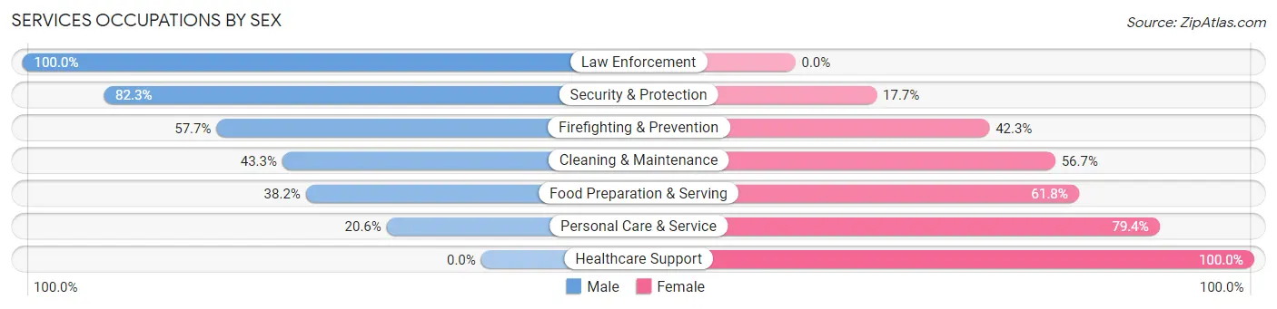 Services Occupations by Sex in Zip Code 46809