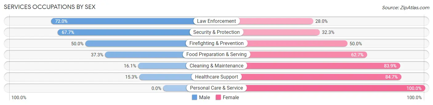 Services Occupations by Sex in Zip Code 46819