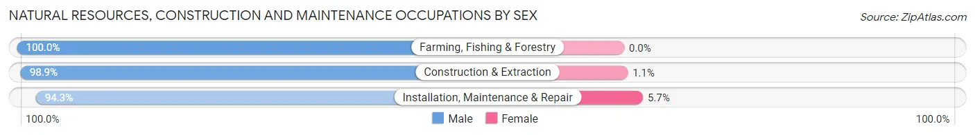 Natural Resources, Construction and Maintenance Occupations by Sex in Zip Code 46835