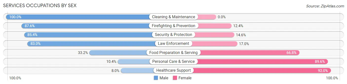 Services Occupations by Sex in Zip Code 46845